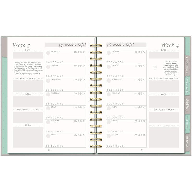 JuJuBe Countdown To Baby Undated Pregnancy Planner & Journal Image 5