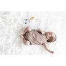 Kate & Milo Cute As A Pumpkin' Keepsake Photo Ornament Image 7