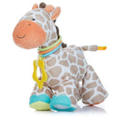 Kids Preferred - Carter's Developmental Giraffe Image 1