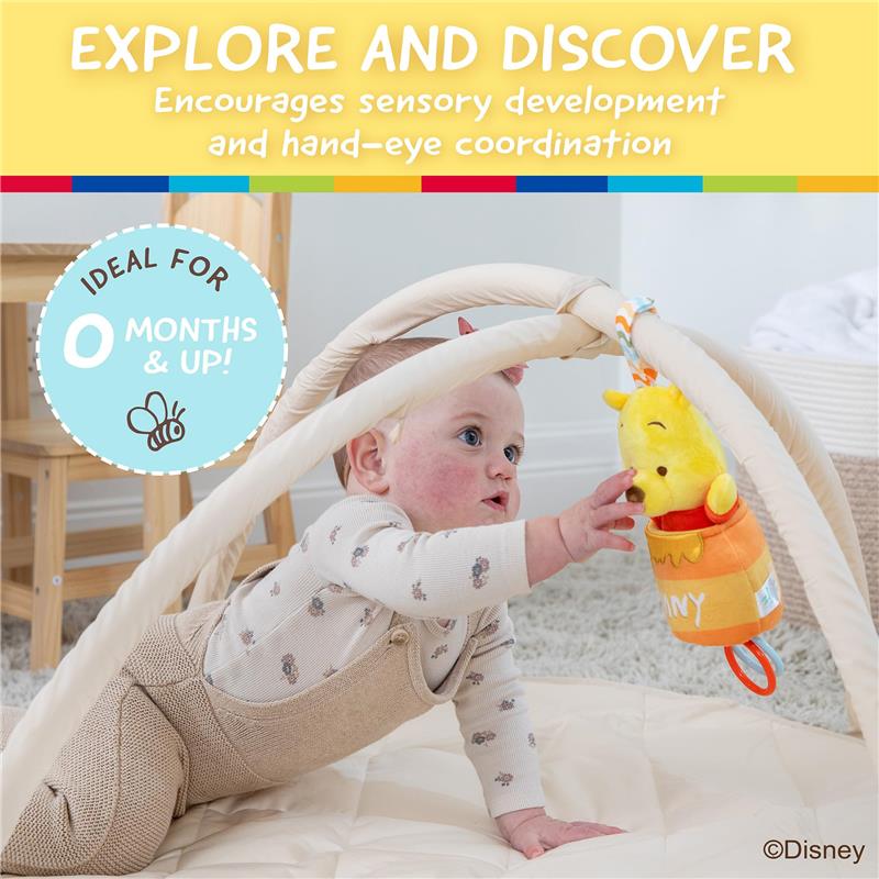KIDS PREFERRED - Disney Baby Winnie The Pooh Pulldown Honeypot Ziggle Multi Sensory Activity Toy  Image 4