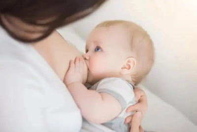 Lactation Consultation, Breastfeeding Consultation | Orlando, FL.