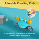 Macrobaby - Crawling Crab Baby Toy Image 6
