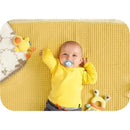 Mam - 2Pk Boy Deep Sea Pacifier, 0/6M Image 15