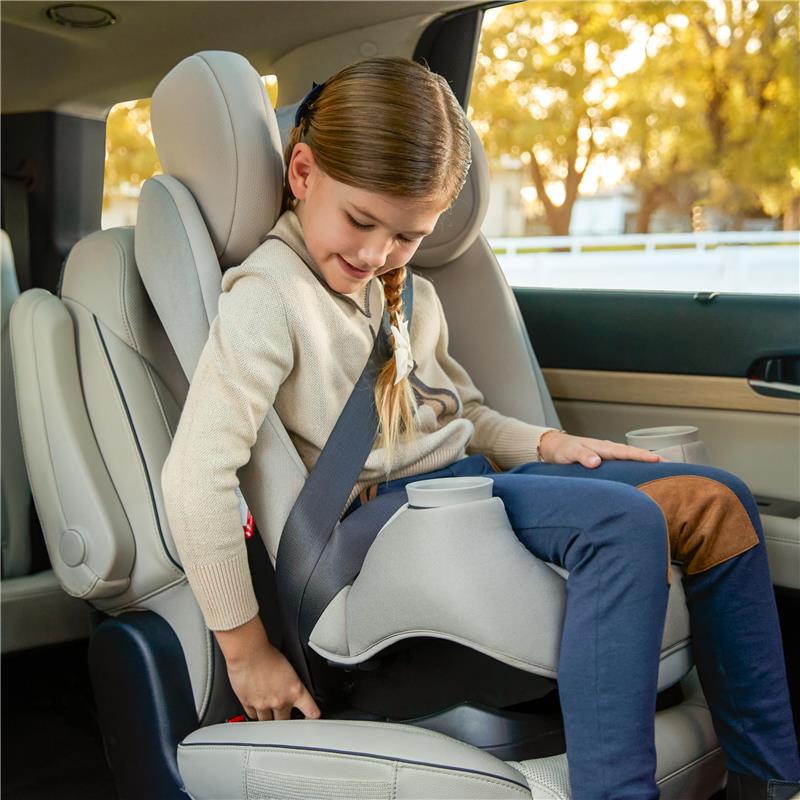 Maxi-Cosi - Pria All-in-One Convertible Car Seat, Seascape Image 9