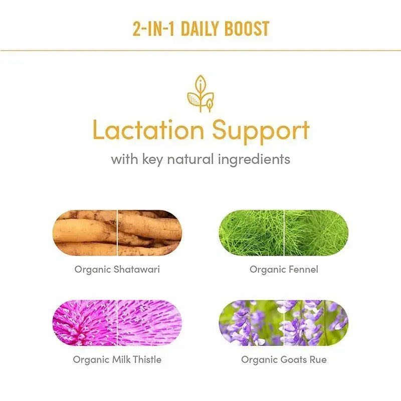 Munchkin - Milkmakers Daily Boost 2-in-1 Lactation Supplements for Breastfeeding Image 7