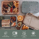 Nouka Design Bento Lunch Box, Dazzle Image 4