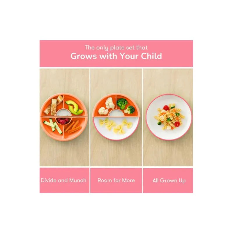 Omie - Toddler Plate With Divider, Pink | 3 plates & 2 dividers Image 5