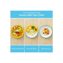 Omie - Toddler Plate With Dividers, Blue | 1 plate Image 3
