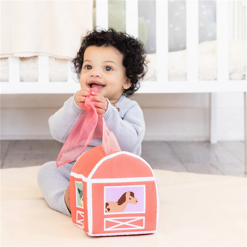 Pearhead 6–12 Months Learning Kit Montessori Developmental Toys Image 6