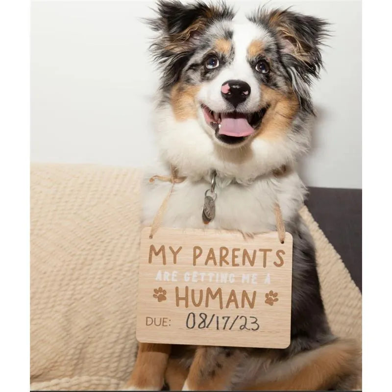 Pearhead - Wooden Pet Pregnancy Announcement Sign Image 2