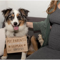 Pearhead - Wooden Pet Pregnancy Announcement Sign Image 3