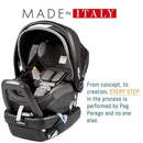 Peg Perego Ypsi Travel System, featuring a black infant car seat with safety harness, adjustable handle, and branding details.