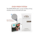 Prince Lionheart - Ever-Fresh System Replacement Pillows Image 6
