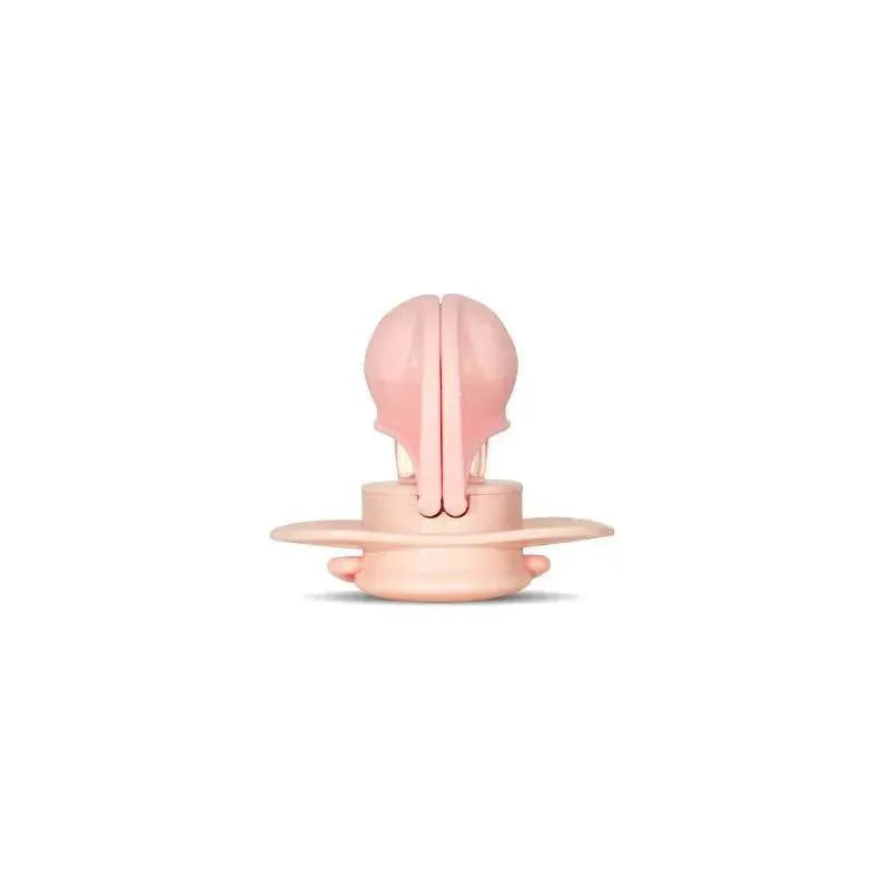 Razbaby - Keep It Kleen Pacifier 2Pk, Light Pink & Cookies & Cream Image 4