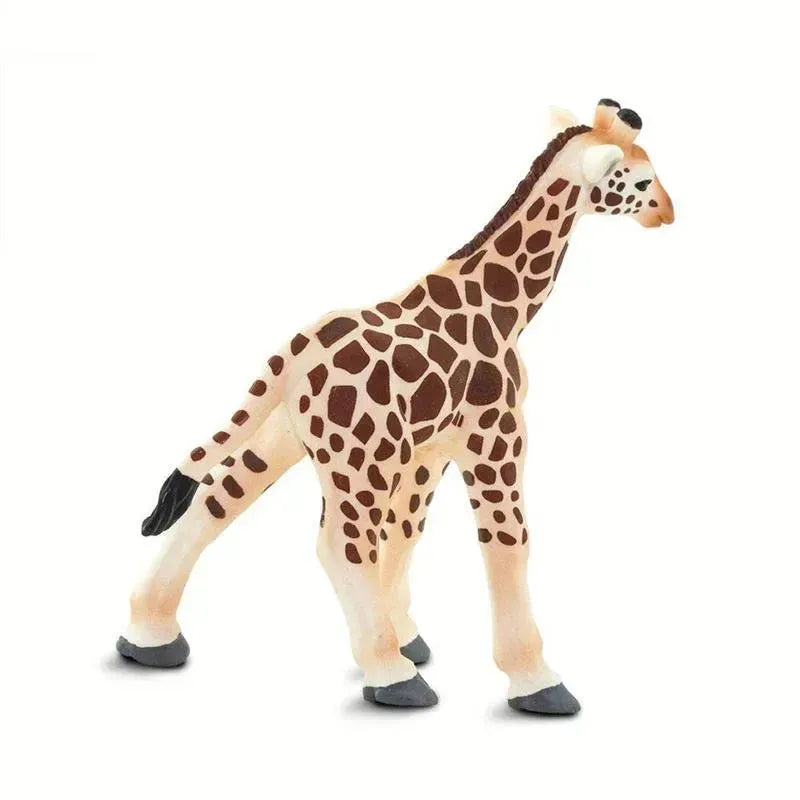 Safari - Giraffe Baby Image 4