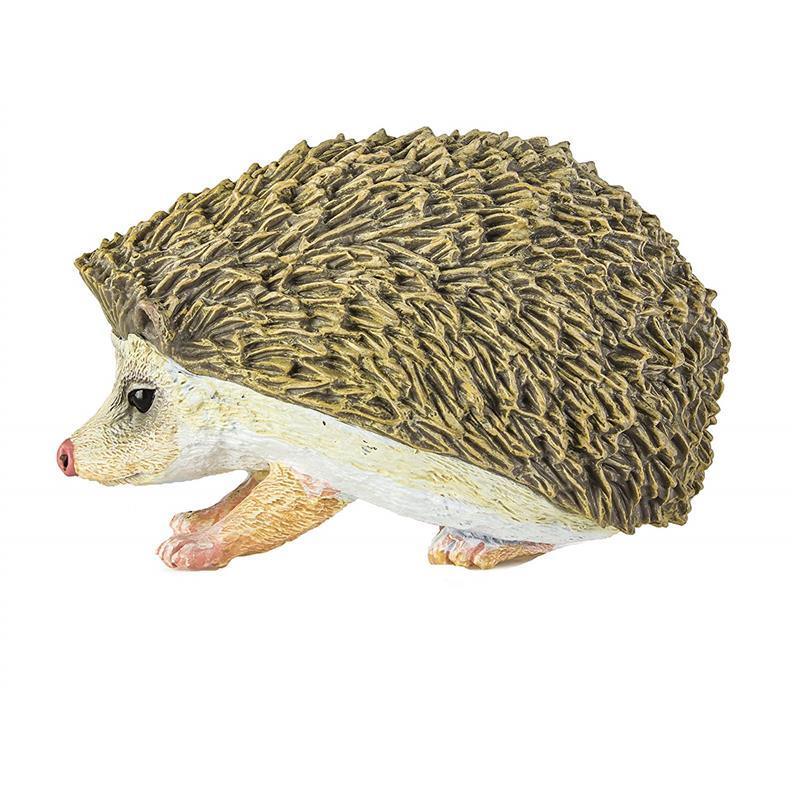 Safari - Hedgehog Image 7
