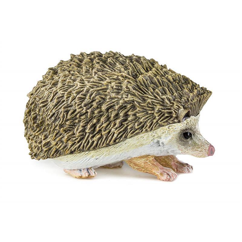 Safari - Hedgehog Image 6