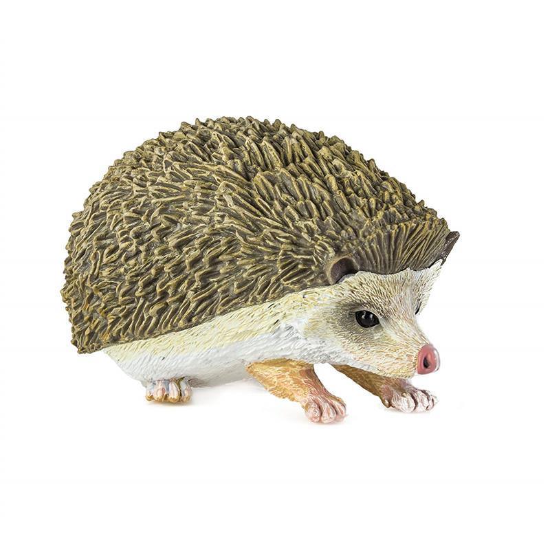 Safari - Hedgehog Image 1