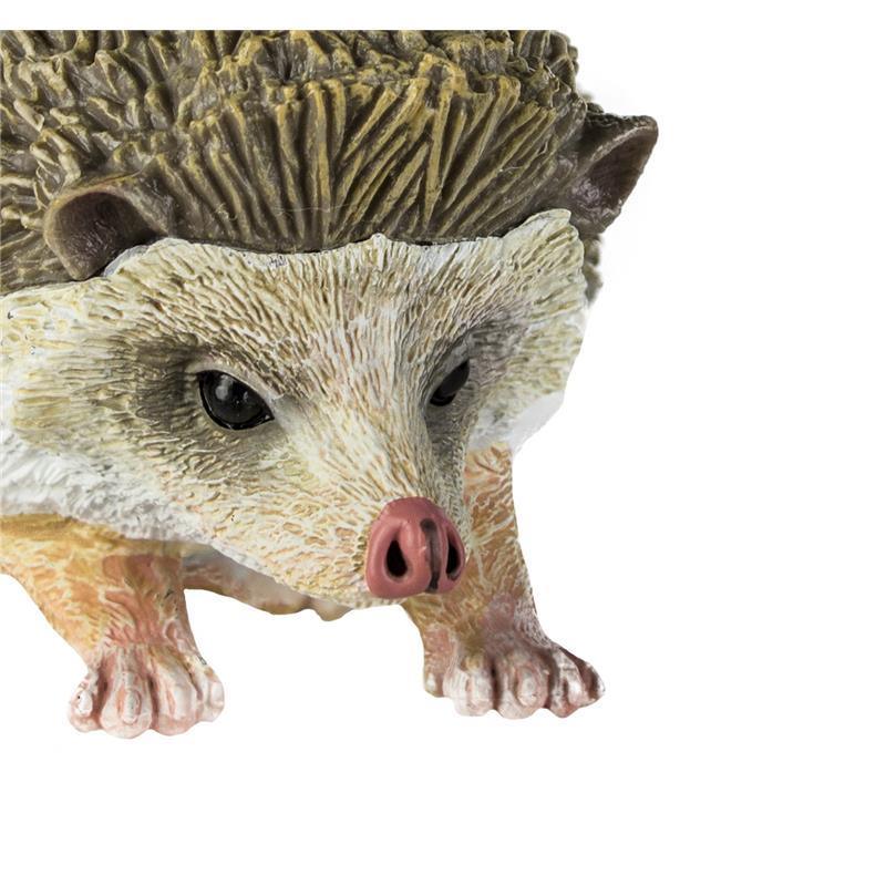 Safari - Hedgehog Image 3
