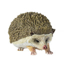 Safari - Hedgehog Image 5