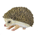 Safari - Hedgehog Image 8