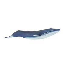 Safari Ltd Blue Whale Wild Safari Sea Life Image 1