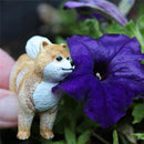 Safari - Pomeranian Realistic 2 Dog Figure Image 4