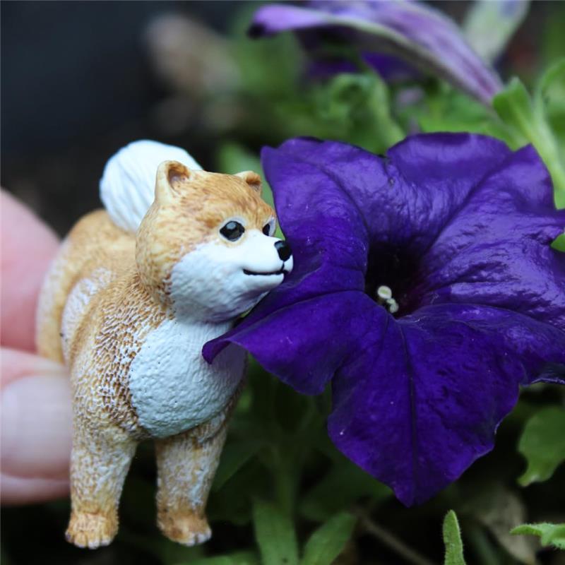Safari - Pomeranian Realistic 2 Dog Figure Image 4