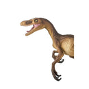Safari - Velociraptor Image 5