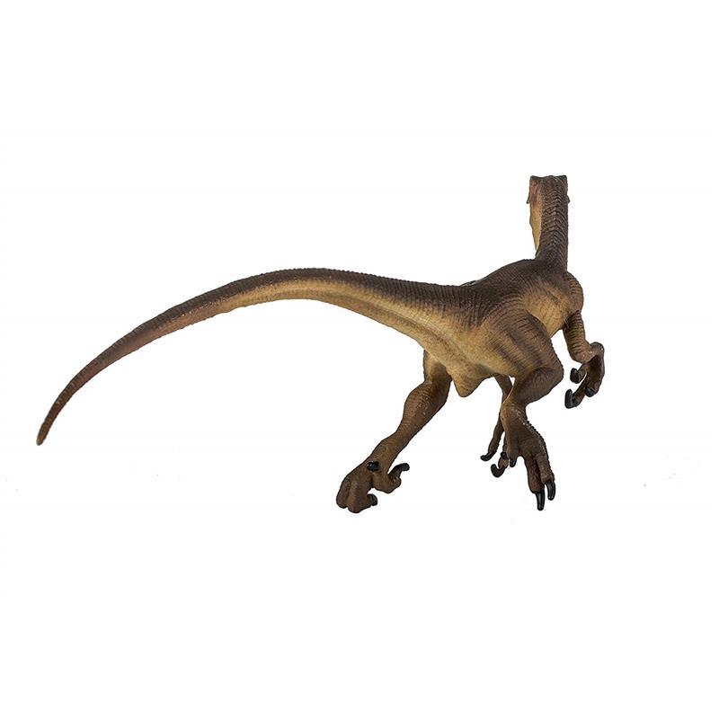 Safari - Velociraptor Image 6