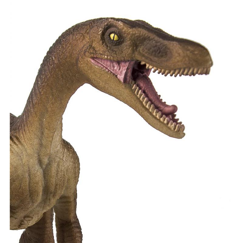 Safari - Velociraptor Image 7