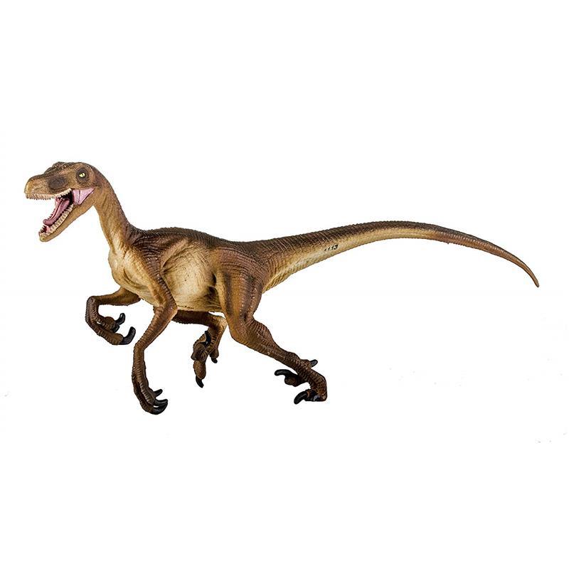 Safari - Velociraptor Image 9