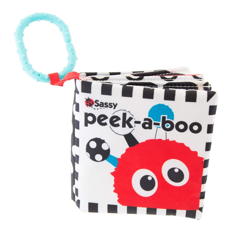 Sassy Peek-A-Boo Book Image 6