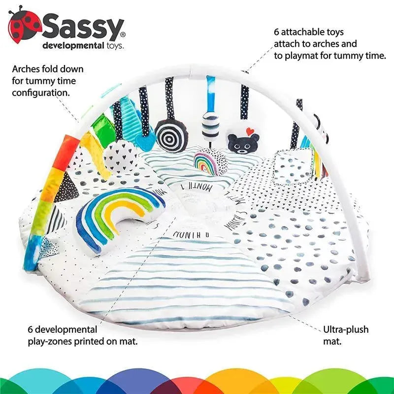Sassy - Milestone Activity Gym Image 7