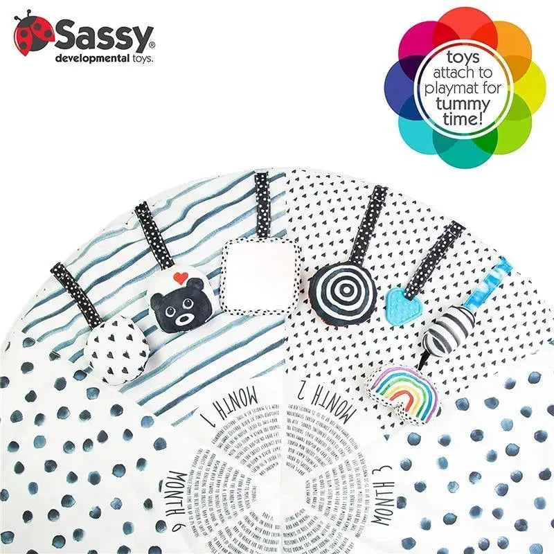 Sassy - Milestone Activity Gym Image 8