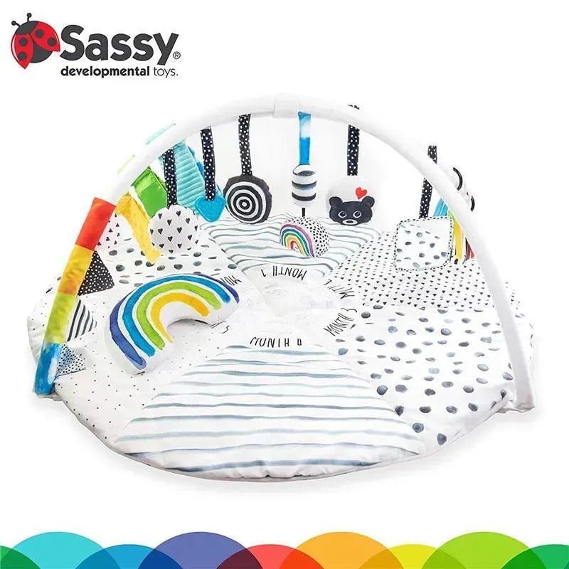Sassy - Milestone Activity Gym Image 10