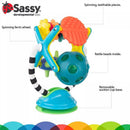 Sassy Teethe & Twirl Sensation Station Image 3