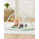 Skip Hop - Garden Oasis Activity Gym Image 4