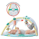 Skip Hop Tropical Paradise Activity Gym & Soother, Multicolor Image 12