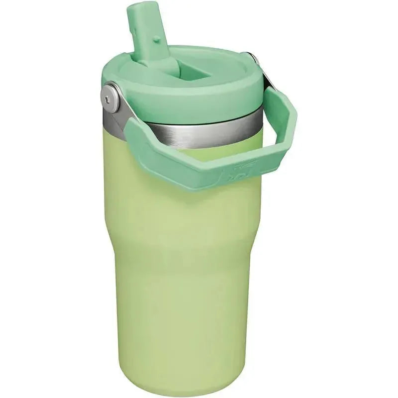 Stanley - 20Oz IceFlow Stainless Steel Tumbler with Straw, Citron Image 3