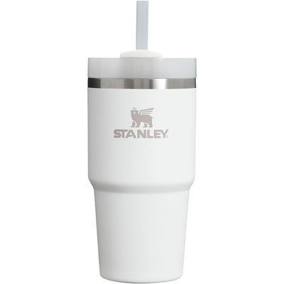 Stanley The Quencher H2.0 FlowState™ Tumbler in Frost, 20 oz, featuring a clear straw and stainless steel band.