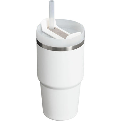 Stanley The Quencher H2.0 FlowState™ Tumbler, 20 oz, in Frost color with a clear straw and silicone lid.