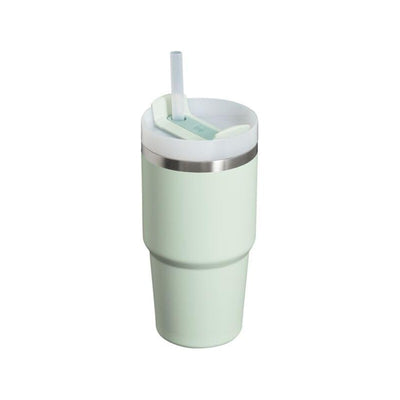 Stanley The Quencher H2.0 FlowState™ Tumbler 20 oz in Mist color with a straw and lid design.