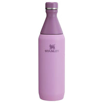 Stanley All Day Slim Bottle 20 oz | Leakproof Twist on Lid | Slim Design for Travel and Gym | Insulated Stainless Steel Water Bottle | BPA-Free | L Image 1