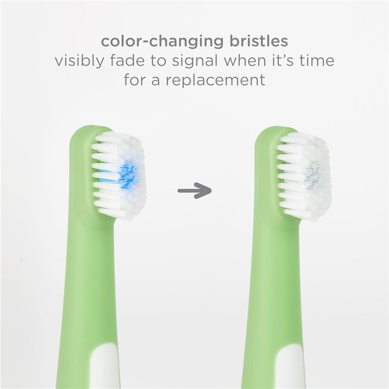 Ubbi - Toddler Training Toothbrush Set, Soft Bristled & Gentle, Green Zest & Smoothie Purple Image 5